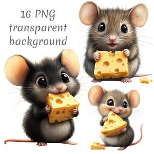 16 Cute Mouse with cheese Clipart PNG, Digital Download, junk journals, transparent background, high quality, scrapbooking, Card Making