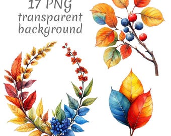 17 kleurrijke herfstbladeren aquarel clipart png, digitale download, ongewenste tijdschriften, transparante achtergrond papier van hoge kwaliteit