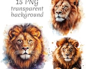 15 Realistic lion watercolor clipart PNG. Digital Download, junk journals, transparent background, high quality, scrapbooking