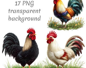 17 Realistic Rooster on Grass Clipart PNG, Digital Download, junk journals, transparent background, high quality, scrapbooking, Card Making