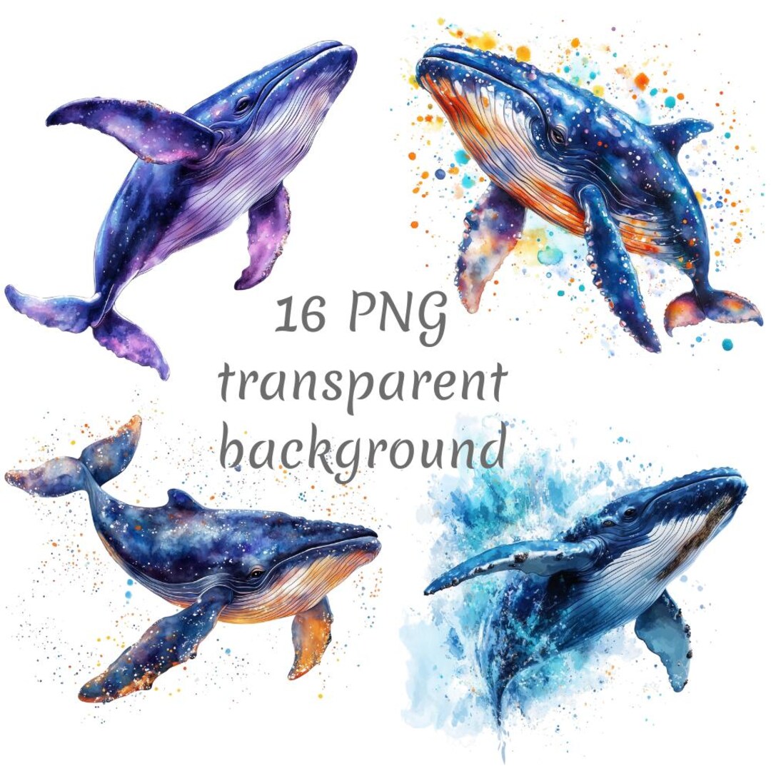 16 Whale Watercolor Clipart PNG. Sea Clipart, Digital Download, Junk ...