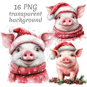 16 schattige kerstvarken aquarel clipart png. Digitale download ongewenste tijdschriften, transparante achtergrond, scrapbooking, kaarten maken