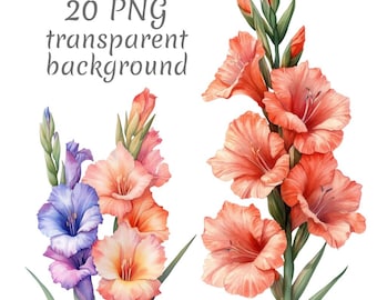 20 Gladiolus flower watercolor clipart PNG. Digital Download, junk journals, transparent background high quality scrapbooking Card Making
