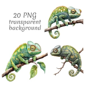 20 Green chameleon watercolor clipart PNG. Digital Download, junk journals, transparent background, high quality, scrapbooking, card making