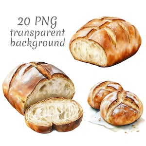 Op de afbeelding: Waterverfillustratie van verschillende broden. De afbeelding toont een gesneden brood, dat het zachte interieur onthult, en hele broden met ingesneden bovenkanten. De tekst "20 PNG transparent background" is ook aanwezig.