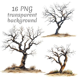 May include: Watercolor illustrations of four bare trees with intricate branches, set against a transparent background. The trees are in shades of brown and gray, with subtle details. Text at the top reads "16 PNG transparent background."