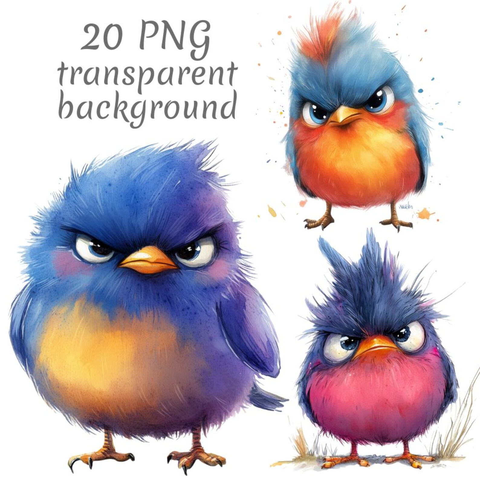20 Grumpy Birds Watercolor Clipart PNG. Digital Download, Junk Journals ...