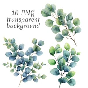 16 Eucalyptus watercolor Clipart PNG, Digital Download, Junk Journals, Transparent Background, High Quality, Card Making