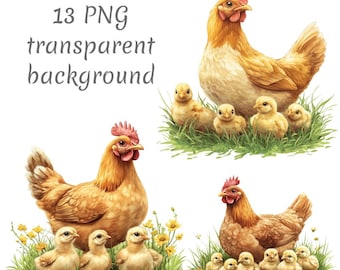 ビンテージ　シュタイフ　ウーリーポンポン　にわとり　雄鶏と雌鶏のペア Steiff - SteiffシュタイフRooster Henビンテージ※鶏おんどり