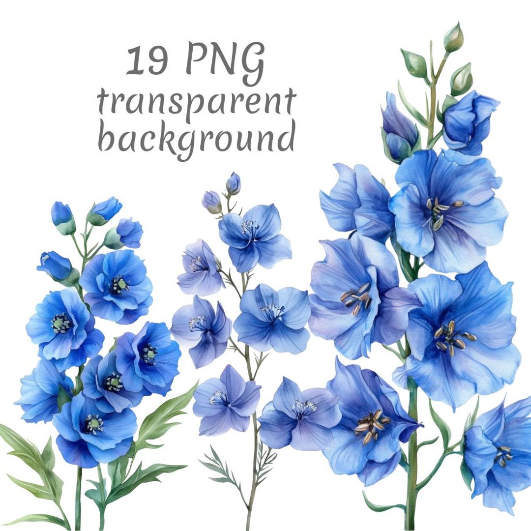 19 Delphinium Flower Watercolor Clipart PNG. Digital Download, Junk ...