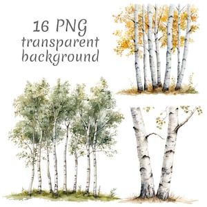 Peut inclure: Illustrations à l'aquarelle de bouleaux à l'écorce blanche et au feuillage vert et jaune. L'image comprend plusieurs groupes d'arbres et le texte "16 PNG transparent background".