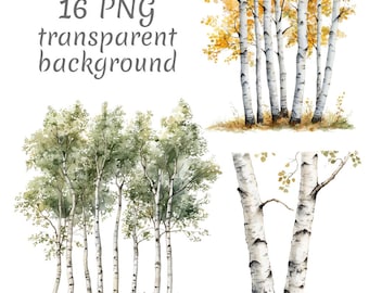 16 Birch tree watercolor Clipart PNG, Digital Download, Junk Journals, Transparent Background, High Quality, Card Making