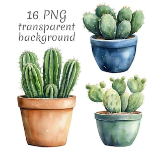 Puede incluir: Ilustraciones de acuarela de cactus en macetas. La imagen presenta tres cactus en macetas diferentes, cada uno con una forma y color únicos. Las macetas son en tonos de azul, verde y terracota. El texto en la parte superior dice "16 PNG transparent background."