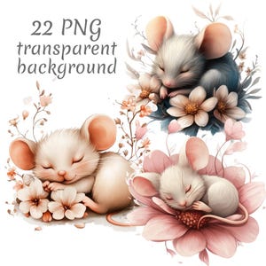 22 Sleeping mouse in flowers clipart PNG, Digital Download, Junk Journals, Paper Craft, Watercolor, Card Making, Clip Art, scrapbooking