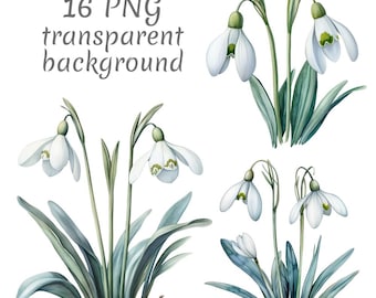 16 imágenes PNG de acuarela de campanillas de invierno. Descarga digital, diarios basura, fondo transparente, alta calidad, scrapbooking, tarjetas.