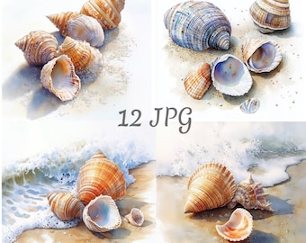 12 Seashells watercolor clipart JPG, Sea clipart, Digital Download, Junk Journals, Paper Craft, Watercolor, Card Making, Clip Art