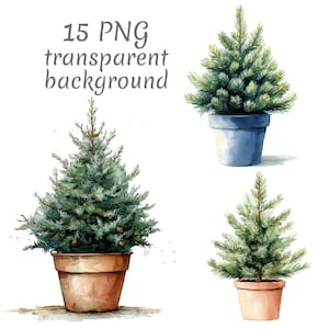 Könnte beinhalten: Aquarellillustration von drei getopften immergrünen Bäumen. Die Bäume haben verschiedene Größen und Formen, mit grünen Nadeln und braunen Töpfen. Der Text "15 PNG transparent background" ist enthalten.