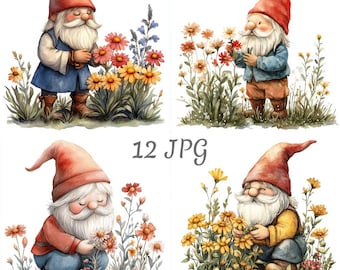 May include: Four watercolour illustrations of gnomes with red hats and white beards, each holding a flower. The gnomes are surrounded by colourful flowers and greenery. The text "12 JPG" is in the centre of the image.