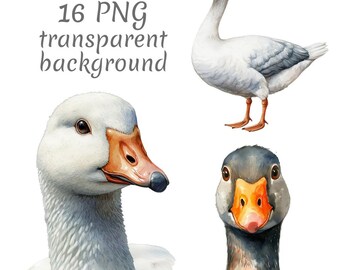 16 Goose Watercolor Clipart PNG, Digital Download, junk journals, transparent background, high quality, scrapbooking, Card Making
