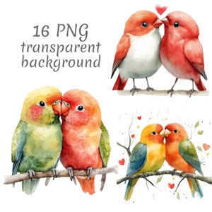 16 Romantische Lovebirds Aquarell Clipart PNG. Digitaler Download von Junk Journals, transparenter Hintergrund, Scrapbooking, Kartenherstellung