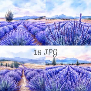 16 imágenes prediseñadas de acuarela de campo de lavanda (JPG), descarga digital, revistas basura, manualidades de papel, creación de tarjetas, imágenes prediseñadas, scrapbooking