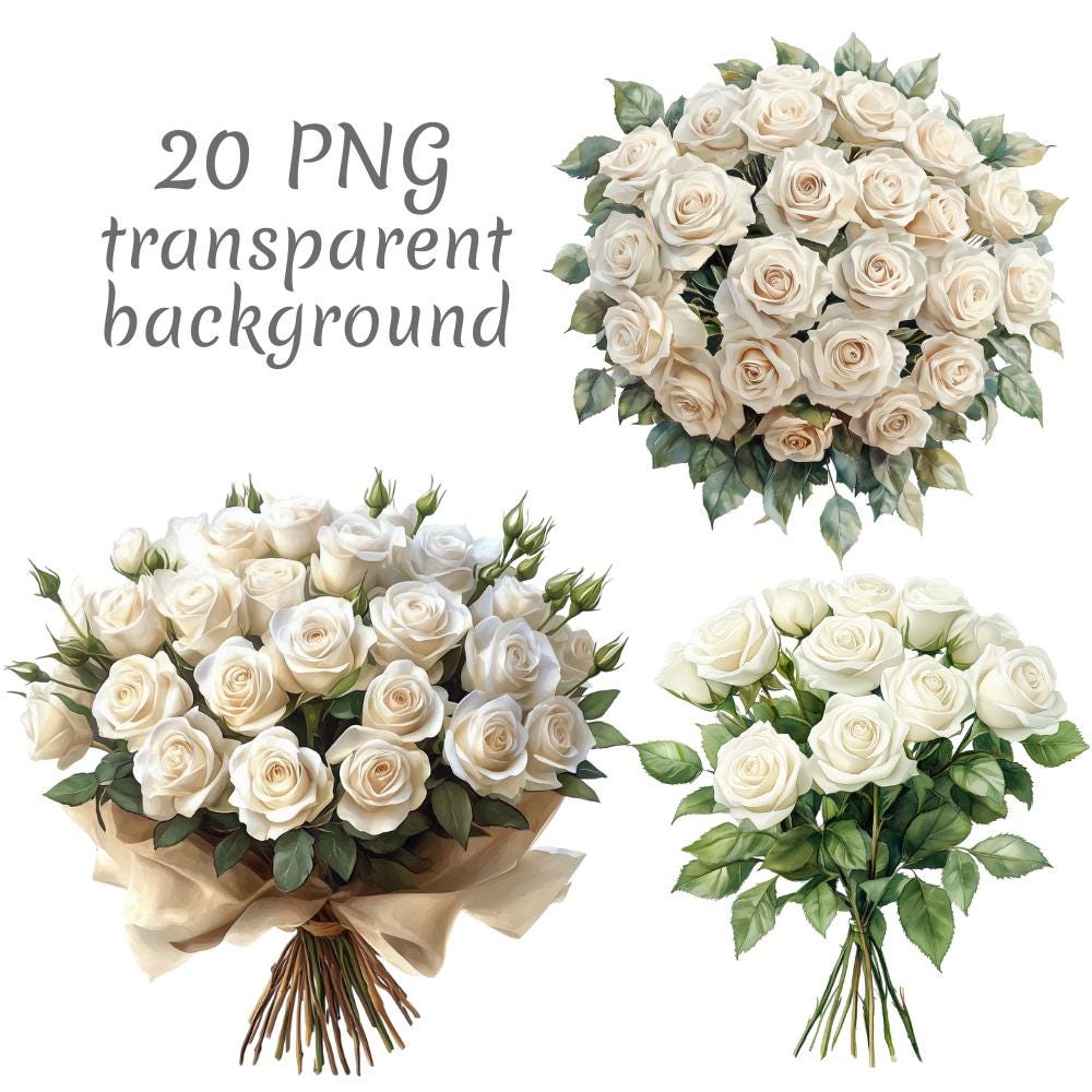 20枚の白いバラの花束の水彩画クリップアートPNG。デジタル