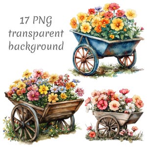 17 Blumen Schubkarre Aquarell Clipart PNG. Digitaler Download, Junk Journals, transparenter Hintergrund, hochwertige Scrapbooking Kartenherstellung