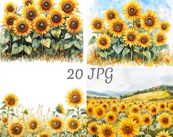 Puede incluir: Una colección de cuatro imágenes de acuarela con girasoles amarillos vibrantes. Los girasoles tienen centros marrones oscuros y hojas verdes. Las imágenes incluyen un campo de girasoles y primeros planos de las flores.