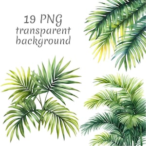 19 Palm leaf watercolor Clipart PNG, Digital Download, Junk Journals, Transparent Background, High Quality, Card Making
