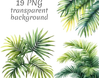 19 Palm leaf watercolor Clipart PNG, Digital Download, Junk Journals, Transparent Background, High Quality, Card Making