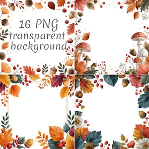 Könnte beinhalten: Eine Sammlung von 16 digitalen Grafikelementen mit Aquarellillustrationen von Herbstblättern, Eicheln, roten Beeren und Pilzen. Das Set enthält verschiedene botanische Arrangements mit transparentem Hintergrund und dem Text 16 PNG transparent background.