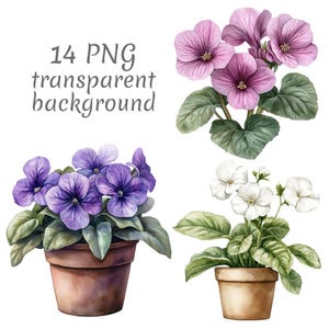 Può includere: Illustrazioni ad acquerello di fiori in vaso con sfondo trasparente. L'immagine presenta tre diverse composizioni floreali: fiori viola, rosa e bianchi, ciascuno in un vaso di terracotta. Il testo recita "14 PNG transparent background."