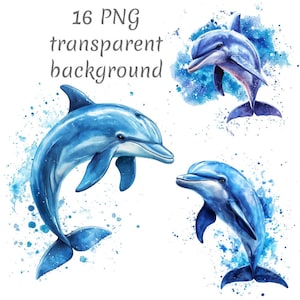 16 Dolphin watercolor Clipart PNG. Sea clipart, Digital Download, junk journals, transparent background, high quality, watercolor clipart