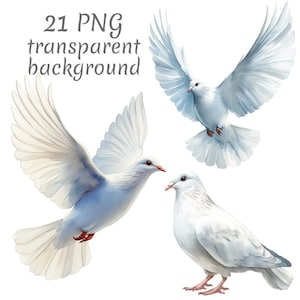 21 imágenes PNG de palomas blancas de la paz en acuarela. Descarga digital, diarios basura, fondo transparente, alta calidad, scrapbooking, creación de tarjetas.