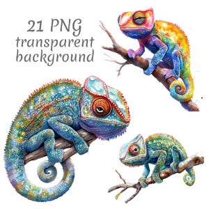 21 Colorful chameleon watercolor clipart PNG. Digital Download, junk journals, transparent background, high quality scrapbooking card making