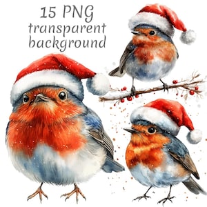 15 Robin com chapéu de Papai Noel em aquarela de Natal Clipart PNG. Download digital de diários de lixo, fundo transparente, scrapbooking, criação de cartões