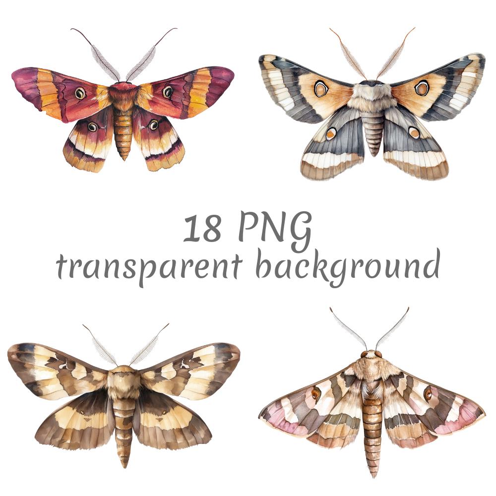 Sphingidae - Etsy 日本