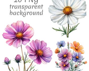 20 Cosmos flower watercolor clipart PNG. Digital Download, junk journals, transparent background high quality scrapbooking Card Making