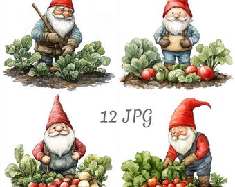May include: Four digital illustrations of gnomes in a garden setting. Each gnome is wearing a red hat and blue overalls. The gnomes are surrounded by green leafy plants, red tomatoes, and white onions. The text "12 JPG" is in the centre of the image.
