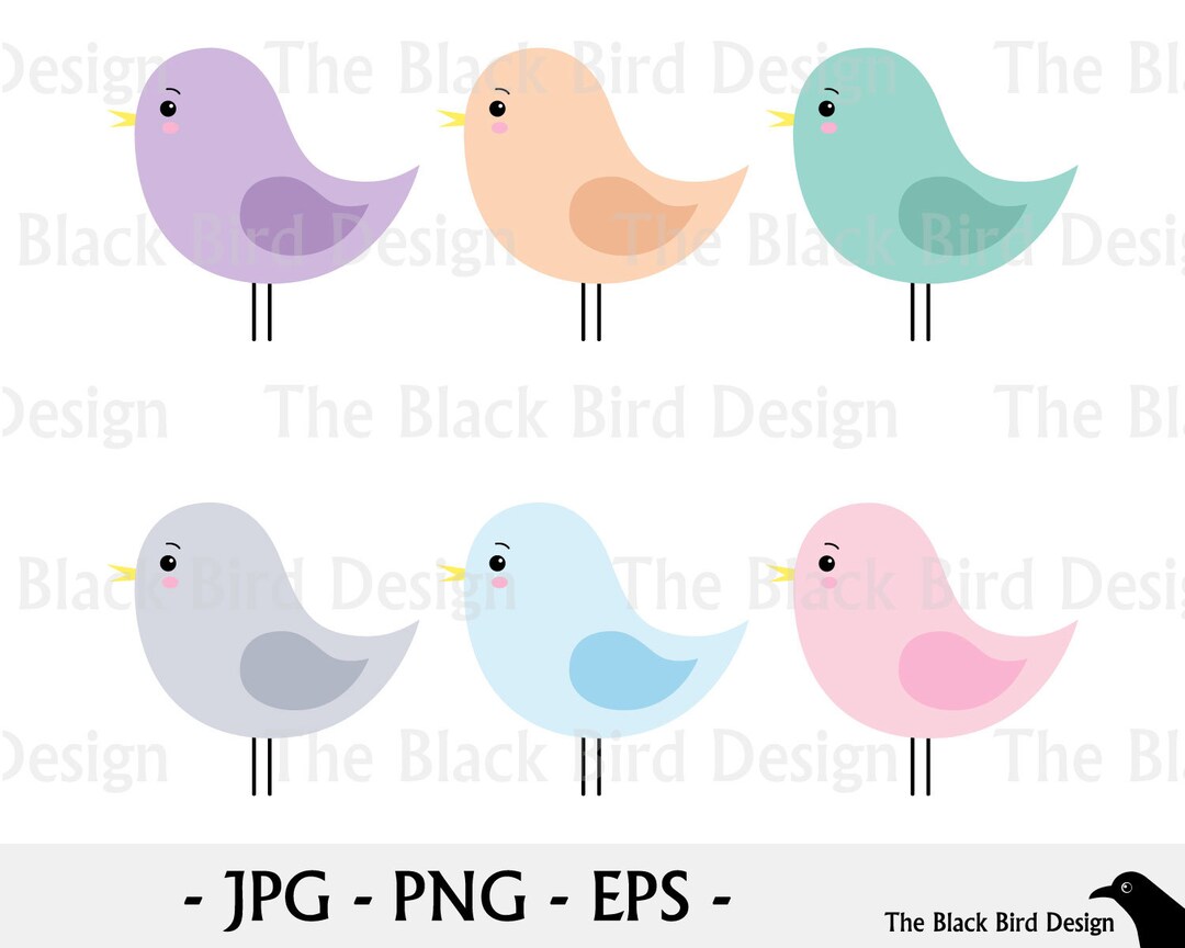 1080px x 864px - Set of Cute Colorful Birds Kawaii Bird Cartoon Digital - Etsy Australia