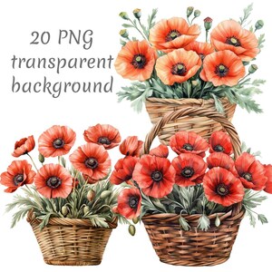 20 Korb mit Mohnblumen Clipart PNG. Digitaler Download von Junk Journals, transparenter Hintergrund, hochwertige Scrapbooking Kartenherstellung