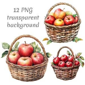 Könnte beinhalten: Zwei Weidenkörbe gefüllt mit roten Äpfeln. Die Körbe sind mit einem braunen und beigefarbenen Muster geflochten. Die Äpfel sind kreisförmig angeordnet. Der Text "12 PNG transparent background" ist in schwarzer Schrift auf weißem Hintergrund geschrieben.