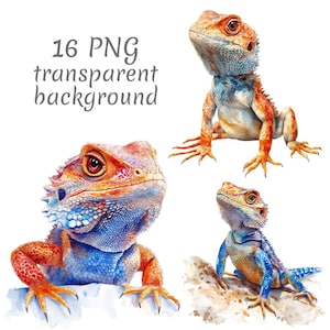 16 Bearded dragon watercolor clipart PNG. Digital Download, junk journals, transparent background, high quality, scrapbooking, card making