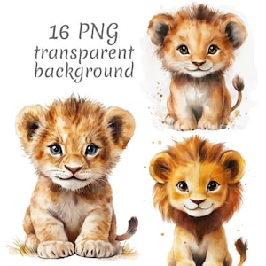 16 Baby lion akwarela clipart PNG. Pobieranie cyfrowe, dzienniki śmieci, przezroczyste tło, wysoka jakość, scrapbooking, tworzenie kartek