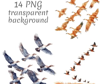 14 Migratory birds watercolor Clipart PNG, Digital Download, junk journals, transparent background, high quality, scrapbooking