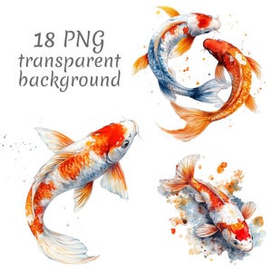 Peut inclure: Illustrations à l'aquarelle de poissons koï aux tons orange, rouge, blanc et bleu. L'image comprend quatre motifs de poissons koï différents, avec le texte "18 PNG transparent background" dans le coin supérieur gauche.