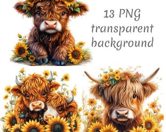 13 Highland Cows in sunflowers Clipart Images PNG. Digital Download, junk journals, transparent background, high quality, scrapbooking