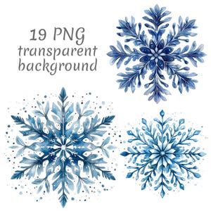 May include: Watercolor illustrations of blue snowflakes with intricate details. The image includes four different snowflake designs, each with a unique pattern. The text "19 PNG transparent background" is displayed at the top. These designs are perfect for winter-themed crafts and digital art projects.