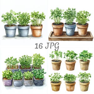 Pode incluir: Ilustração em aquarela de várias plantas em vasos com folhas verdes. Os vasos são em tons de castanho, cinza e roxo. O texto "16 JPG" é visível na imagem.