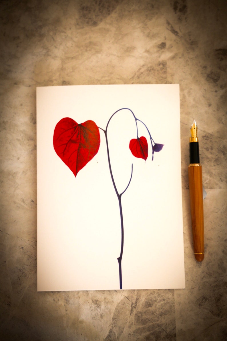Heart shaped leaf photo card, heart art, photo art, anniversary card, engagement card, wedding card, sympathy card, valentines card image 5